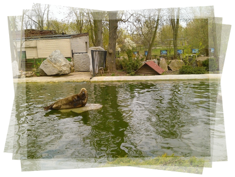 Przewodnik Płock, ogród zoologiczzny